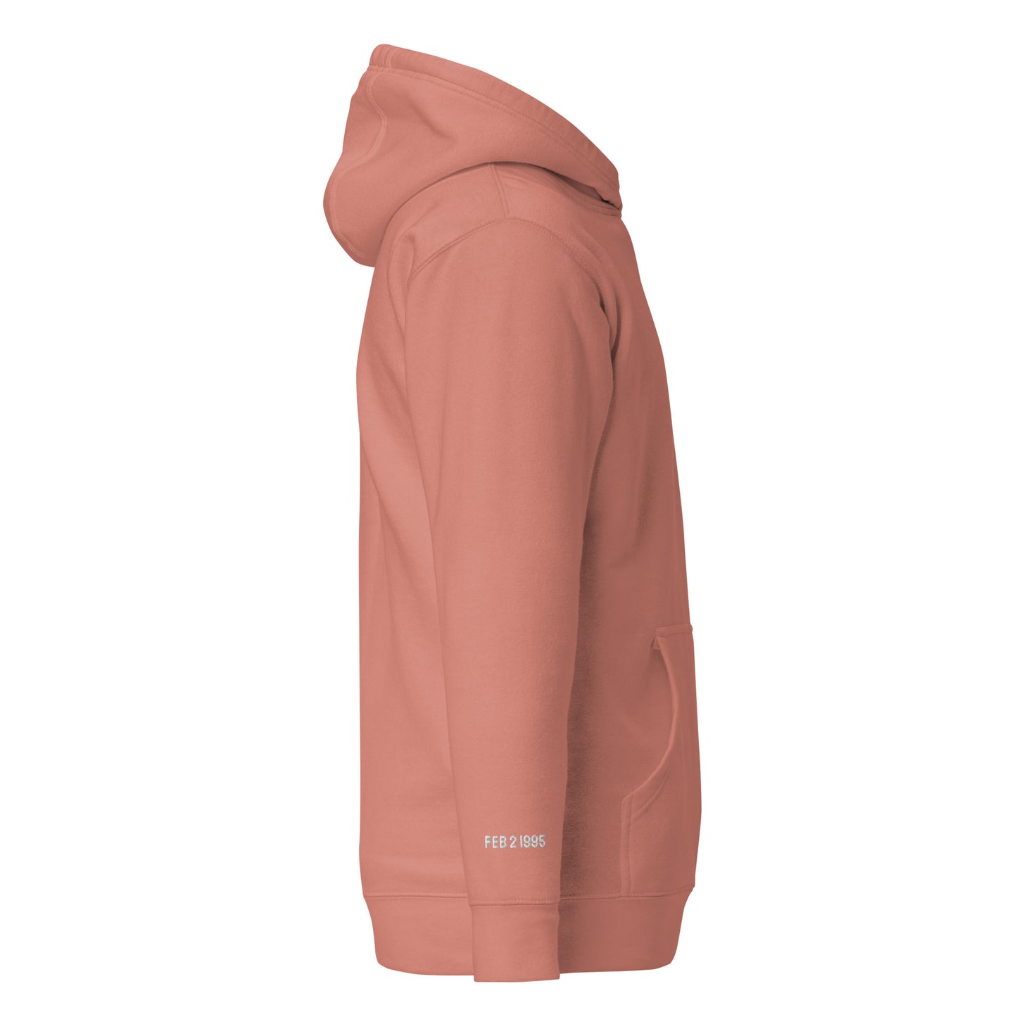A Halo Embroidered Hoodie